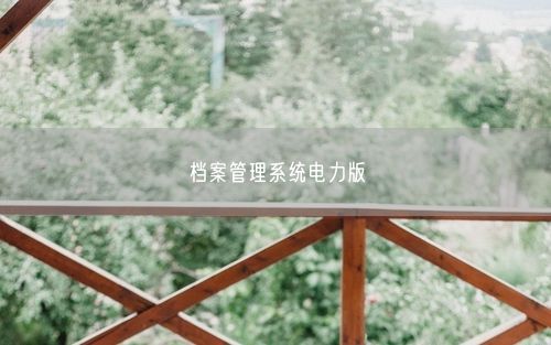 档案管理系统电力版