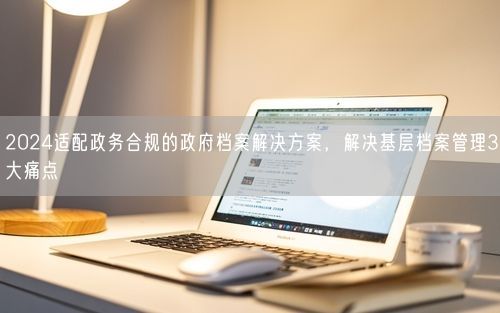 2024适配政务合规的政府档案解决方案，解决基层档案管理3大痛点
