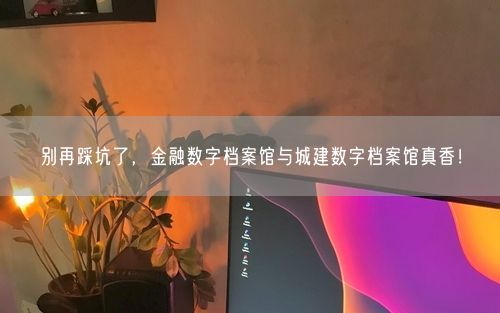 别再踩坑了，金融数字档案馆与城建数字档案馆真香！