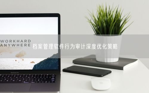 档案管理软件行为审计深度优化策略