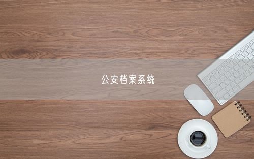 公安档案系统