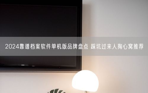 2024靠谱档案软件单机版品牌盘点 踩坑过来人掏心窝推荐