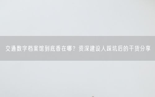 交通数字档案馆到底香在哪？资深建设人踩坑后的干货分享