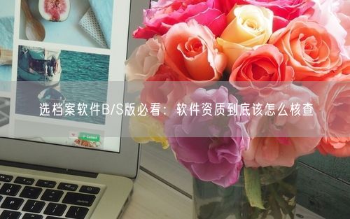 选档案软件B/S版必看：软件资质到底该怎么核查
