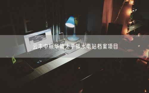 云丰中标华能太平驿水电站档案项目