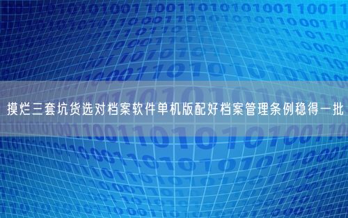 摸烂三套坑货选对档案软件单机版配好档案管理条例稳得一批