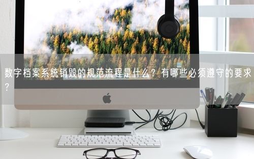 数字档案系统销毁的规范流程是什么？有哪些必须遵守的要求？