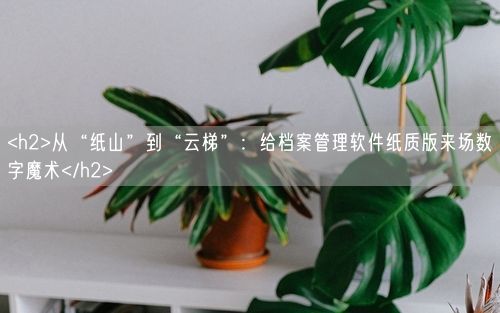 <h2>从“纸山”到“云梯”：给档案管理软件纸质版来场数字魔术</h2>