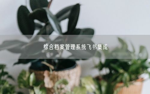 综合档案管理系统飞书集成