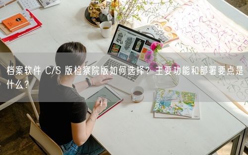 档案软件 C/S 版检察院版如何选择？主要功能和部署要点是什么？
