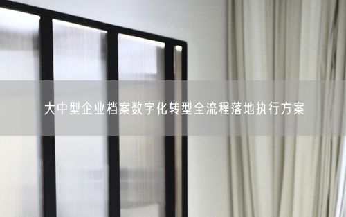 大中型企业档案数字化转型全流程落地执行方案