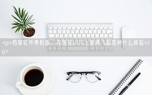 <p>档案软件单机版,在统信UOS上跑得飞起是种什么体验</p>