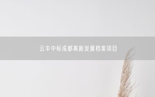 云丰中标成都高新发展档案项目