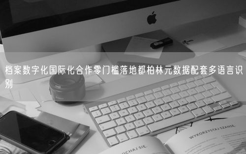 档案数字化国际化合作零门槛落地都柏林元数据配套多语言识别