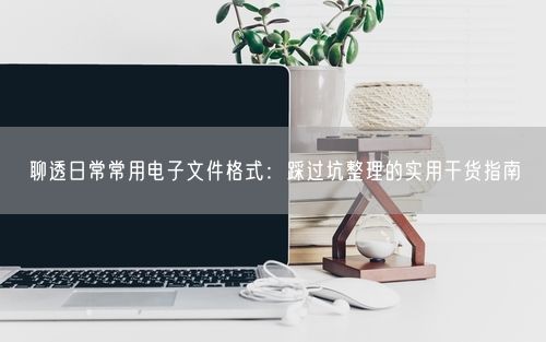聊透日常常用电子文件格式：踩过坑整理的实用干货指南
