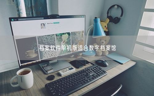 档案软件单机版适合数字档案馆