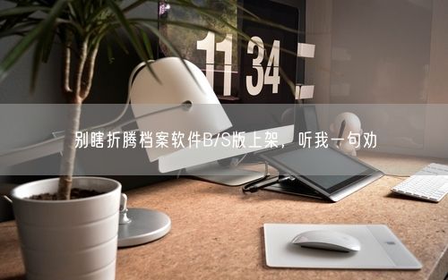 别瞎折腾档案软件B/S版上架，听我一句劝