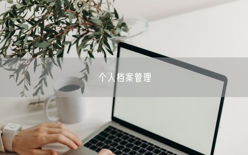 个人档案管理