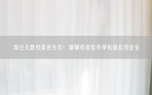 踩过无数档案丢失坑！聊聊档案软件单机版应用安全