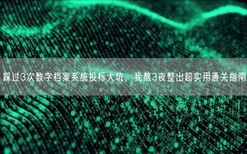 踩过3次数字档案系统投标大坑，我熬3夜整出超实用通关指南
