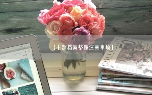 【干部档案整理注意事项】