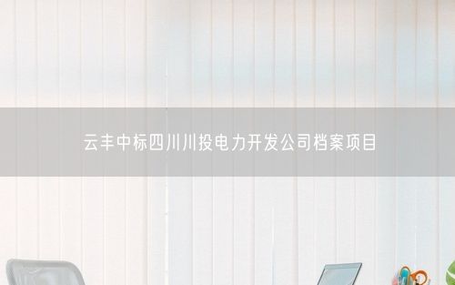 云丰中标四川川投电力开发公司档案项目