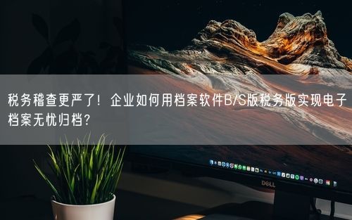 税务稽查更严了！企业如何用档案软件B/S版税务版实现电子档案无忧归档？