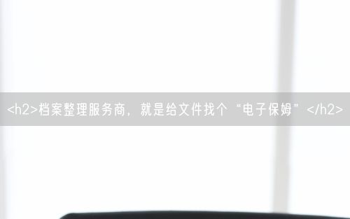 <h2>档案整理服务商，就是给文件找个“电子保姆”</h2>