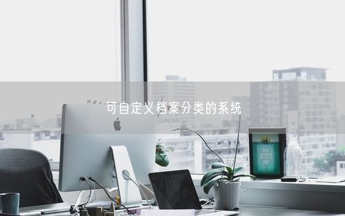 可自定义档案分类的系统