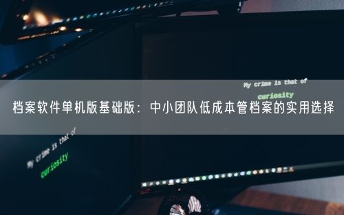档案软件单机版基础版：中小团队低成本管档案的实用选择