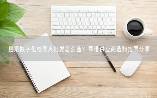 档案数字化档案夹批发怎么选？靠谱供应商选购指南分享