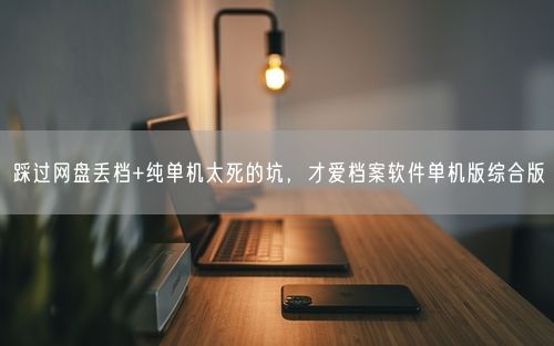 踩过网盘丢档+纯单机太死的坑，才爱档案软件单机版综合版
