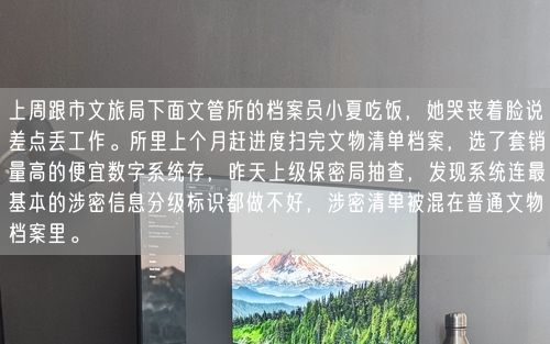 上周跟市文旅局下面文管所的档案员小夏吃饭，她哭丧着脸说差点丢工作。所里上个月赶进度扫完文物清单档案，选了套销量高的便宜数字系统存，昨天上级保密局抽查，发现系统连最基本的涉密信息分级标识都做不好，涉密清单被混在普通文物档案里。