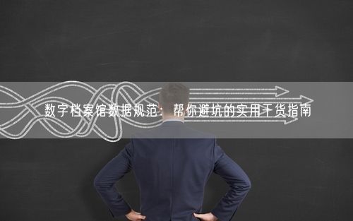数字档案馆数据规范：帮你避坑的实用干货指南