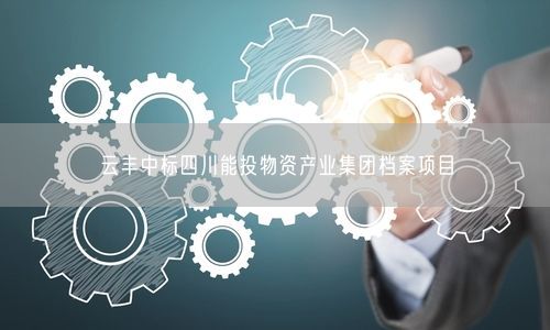 云丰中标四川能投物资产业集团档案项目