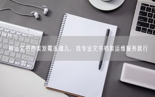 别让文书档案发霉丢魂儿，找专业文书档案运维服务就行