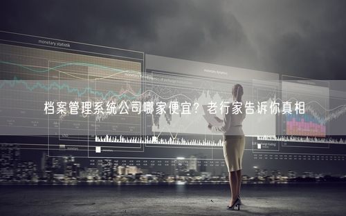 档案管理系统公司哪家便宜？老行家告诉你真相