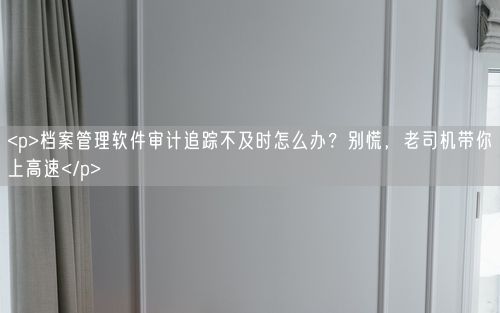 <p>档案管理软件审计追踪不及时怎么办？别慌，老司机带你上高速</p>