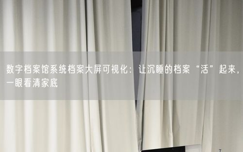 数字档案馆系统档案大屏可视化:让沉睡的档案“活”起来,一眼看清家底