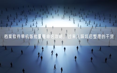 档案软件单机版批量重命名攻略，过来人踩坑后整理的干货