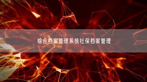 综合档案管理系统社保档案管理