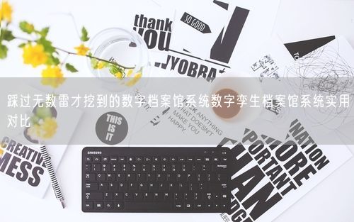 踩过无数雷才挖到的数字档案馆系统数字孪生档案馆系统实用对比