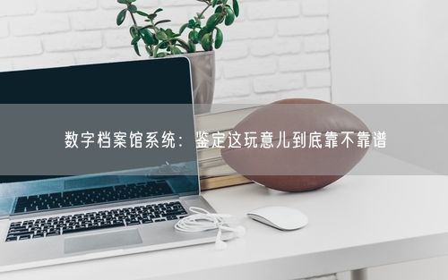 数字档案馆系统:鉴定这玩意儿到底靠不靠谱