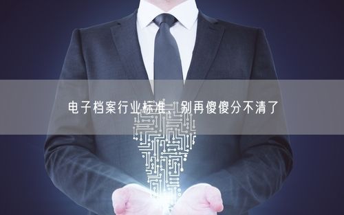 电子档案行业标准，别再傻傻分不清了