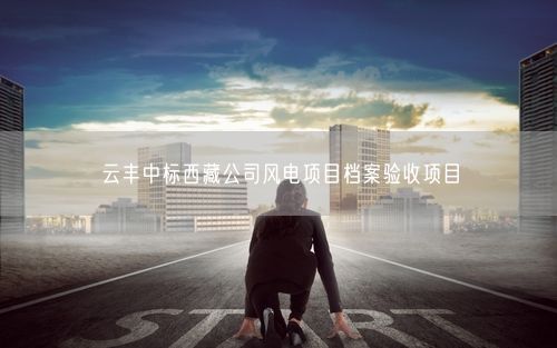 云丰中标西藏公司风电项目档案验收项目