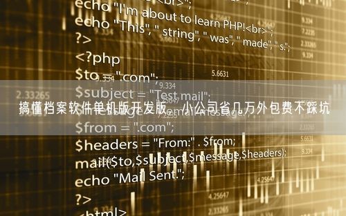 搞懂档案软件单机版开发版,小公司省几万外包费不踩坑