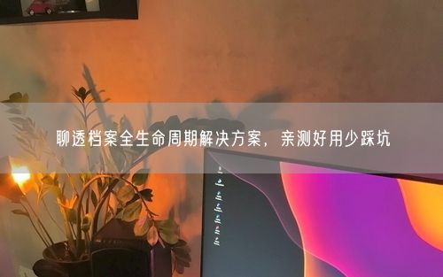 聊透档案全生命周期解决方案，亲测好用少踩坑