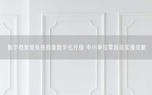 数字档案馆系统档案数字化升级 中小单位零踩坑实操攻略