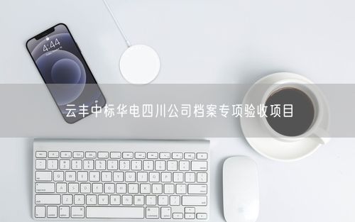 云丰中标华电四川公司档案专项验收项目