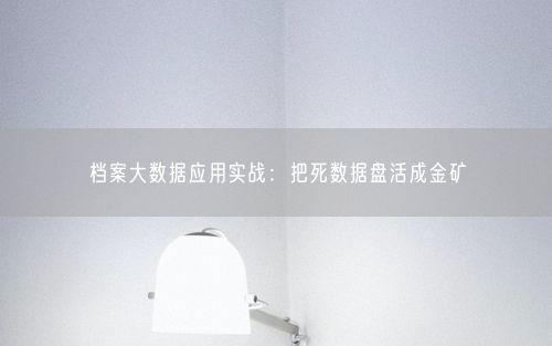 档案大数据应用实战：把死数据盘活成金矿